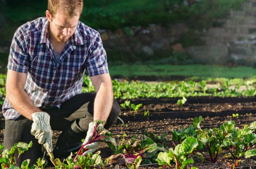 Professional garden design and landscaping in Staines