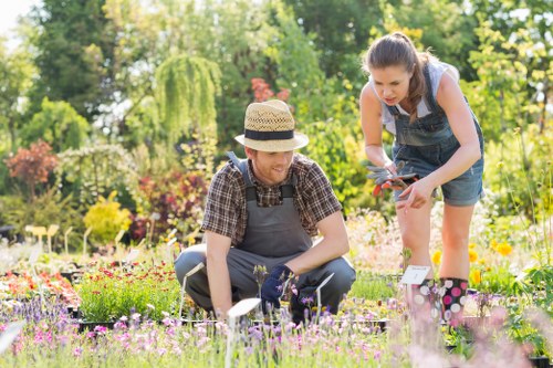 Fair review of a landscaping services complaint in progress