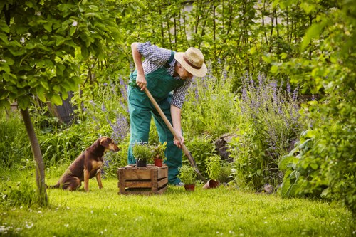 Landscaping work being prepared at a residential garden site