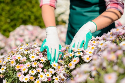 Hard landscaping consultation and outdoor space planning in Staines
