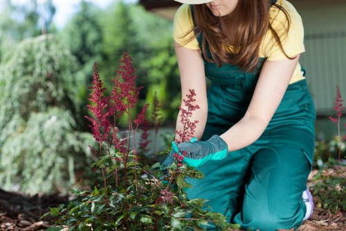 Garden landscaping quotation and booking paperwork for a service