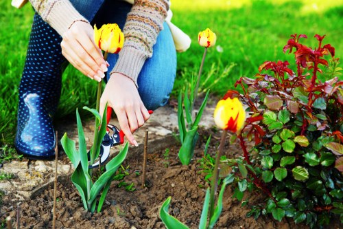 Landscaped residential garden in Staines with practical outdoor improvements