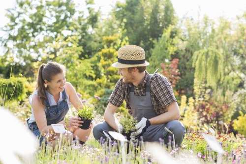 Free quote process for landscaping services in Staines